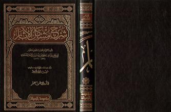 شرح مشكل الأثار 13