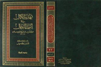 تهذيب الكمال في أسماء الرجال ج22