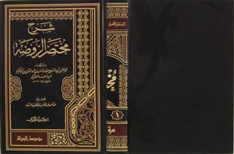 شرح مختصر الروضة ج1