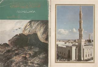 قبسات من ضياء الهجرة
