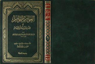العواصم و القواصم في الذب عن سنة أبي القاسم ج6
