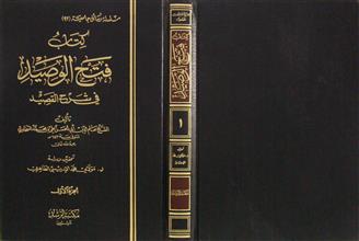 كتاب فتح الوصيد في شرح القصيد ج1