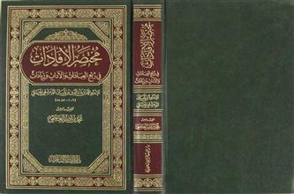 مختصر الأفادات في ربع العبادات والآداب وزيارات