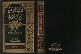 المستصفى من علم الأصول ج2