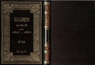 شرح السنة-ج7