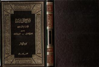 شرح السنة-ج12