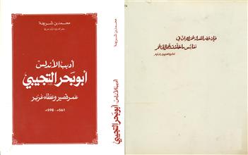 أديب الأندلس أبو بحر التجيبي