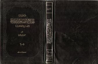 ضعيف الجامع الصغير وزيادته ج5-6