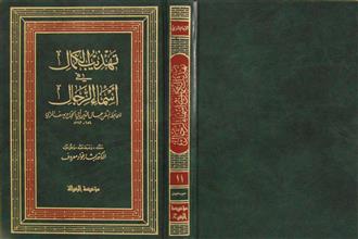 تهذيب الكمال في أسماء الرجال ج11