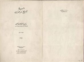 السيرة تاريخ وفن