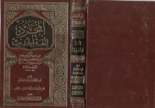 المجرد للغة الحديث