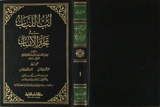 لب اللباب في تحرير الأنساب ج1