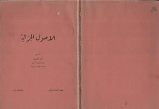 الأصول الجزائية