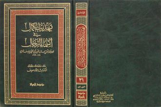 تهذيب الكمال في أسماء الرجال ج31