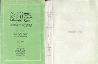 شرح الشفا ج4