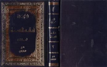 فقه السنة ج2