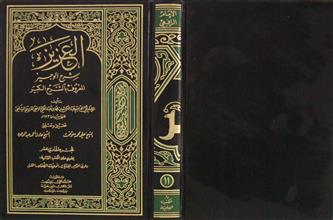 العزيز شرح الوجيز ج11