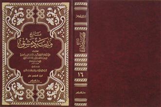 تاريخ مدينة دمشق ج16
