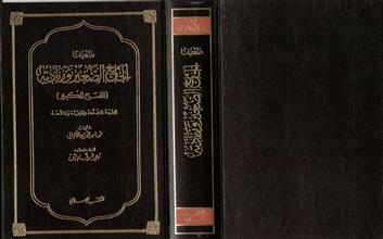 ضعيف الجامع الصغير وزيادته (الفتح الكبير