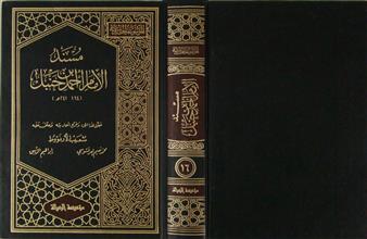 مسند الإمام أحمد بن حنبل ج16