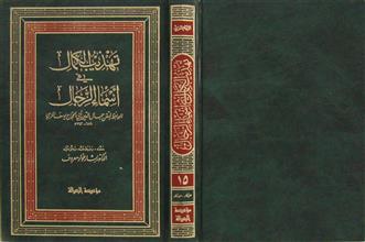 تهذيب الكمال في أسماء الرجال ج15