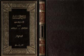 شرح السنة-ج14