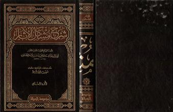 شرح مشكل الأثار 7