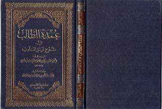 عمدة الطالب في شرح نيل المآرب