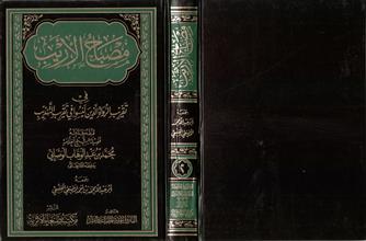 مصباح الأريب في تقريب الرواة الذين ليسو في تقريب التهذيب ج2